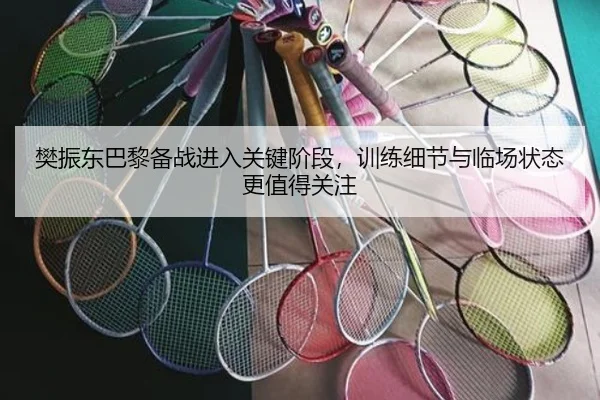 樊振东巴黎备战进入关键阶段，训练细节与临场状态更值得关注 - maiqiuwang